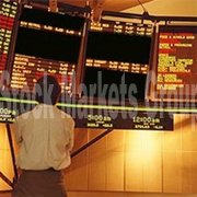 Обзор биржевых торгов