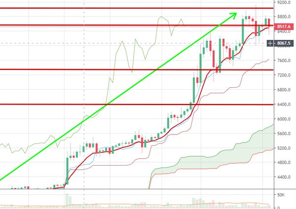 Курс биткоина рухнул на 2.5%, что происходит с криптовалютой сегодня Курс биткоина рухнул на 2.5%, что происходит с криптовалютой сегодня