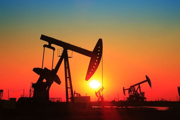Курс нефти растет после назначения принца Абдель Азиза бен Сальмана Курс нефти растет после назначения принца Абдель Азиза бен Сальмана