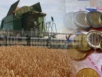 Мировые цены на пшеницу взлетели более чем на 8%