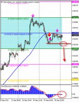 Технический обзор валютной пары NZD/USD от 30.09.13