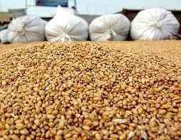 Рынок зерновых: Что посеешь, то и пожнёшь