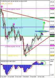 Технический обзор по валютной паре USD/JPY от 12.02.14
