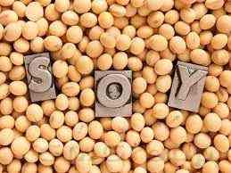 Рынок соевых бобов вчера упал еще до выхода отчета