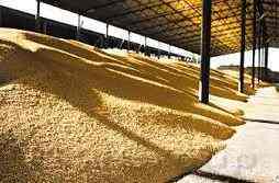 Рынки зерновых падают в результате снижения спроса на американскую продукцию