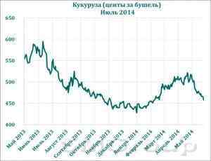 Урожайность кукурузы будет выше прогнозов