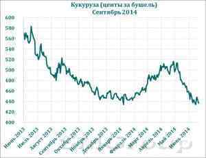 Рынок кукурузы замер в ожидании американского отчета о запасах