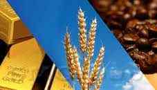 Сырьевые товары остаются в центре внимания