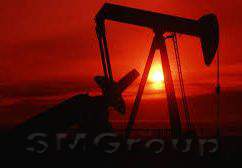Нефтедобыча в России расти не будет, но не только из солидарности с ОПЕК