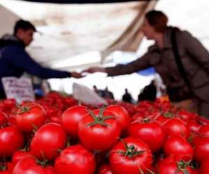Россия и Турция готовы к максимальному экономическому сотрудничеству