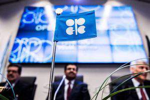 Что значит решение ОПЕК для рынка нефти
