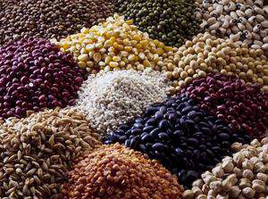 Товарный рынок: Мировые цены на зерновые культуры упали