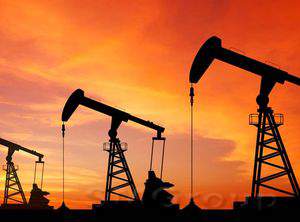 Курс нефти испытал шок от запасов в США