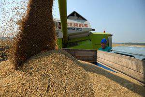 Обзор мирового рынка зерновых 24 - 28 апреля 2017 года