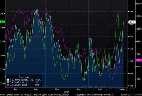Обзор рынка зерновых за неделю с 12 по 16 июня