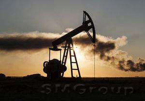Курс нефти продолжает падение на фоне разногласий в ОПЕК