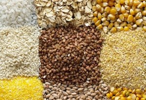 В августе цены на зернобобовые культуры на мировых рынках сильно упали