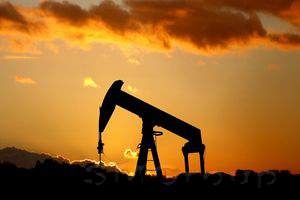 Цены на нефть приостановили рост до 30 ноября
