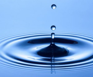 Прогноз курса Ripple: От чего будет зависеть будущее криптовалюты
