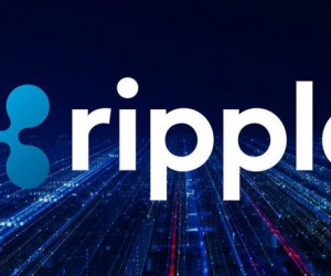 Курс Риппл: Инвестиции в проект растут несмотря на 50% падение