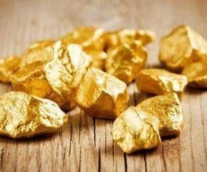 Цена золота выросла на падении фондовых площадок 