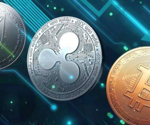 Биткоин-инвесторы в панике, многие криптовалюты потеряли более 13%