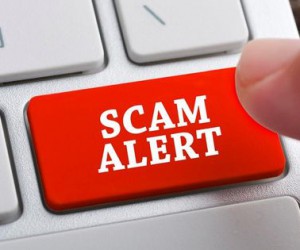 Биткоин-ассоциация России защит рынок от мошеннических ICO Биткоин-ассоциация России защит рынок от мошеннических ICO