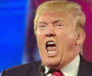 Трамп «утопит» мировые фондовые рынки Трамп «утопит» мировые фондовые рынки