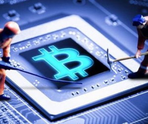 Майнинг теряет популярность у частных участников биткоин-сети Майнинг теряет популярность у частных участников биткоин-сети