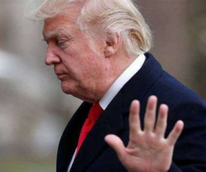 Трампа готовят к импичменту