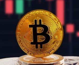 Курс биткоина за сутки потерял 1% и торгуется около $10250 Курс биткоина за сутки потерял 1% и торгуется около $10250