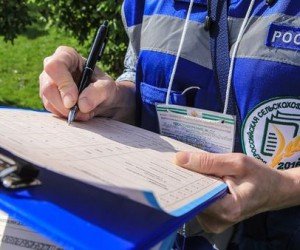 Росстат увидел рост доходов россиян 