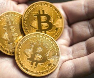 Курс биткоина ненадолго подскочил выше $8300 Курс биткоина ненадолго подскочил выше $8300