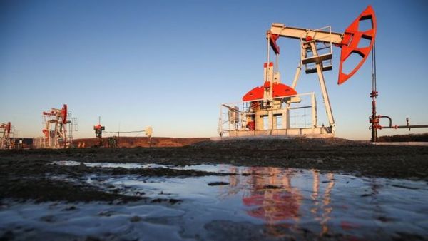 Курс нефти вырос отыграв большую часть потерь