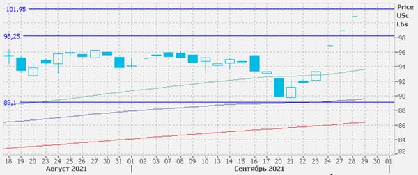 Цены на хлопок выросли до десятилетнего максимума