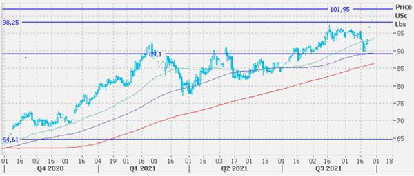 Цены на хлопок выросли до десятилетнего максимума