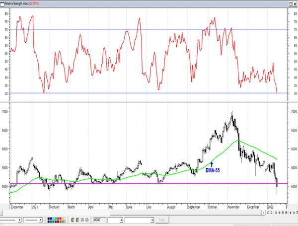 Обзор рынка акций Сбербанка, Газпрома, ГМК НорНикель и Магнита  за 19 Января 2022 года