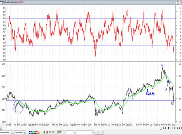 Обзор рынка акций Сбербанка, Газпрома, ГМК НорНикель и Магнита  за 20 Января 2022 года