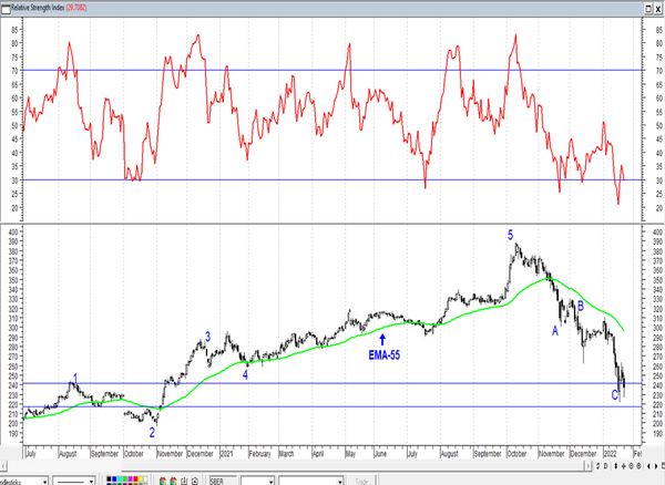 Обзор рынка акций Сбербанка, Газпрома, ГМК НорНикель и Магнита  за 25 Января 2022 года