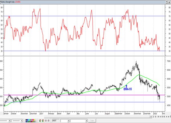 Обзор рынка акций Сбербанка, Газпрома, ГМК НорНикель и Магнита  за 25 Января 2022 года