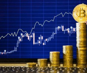 Биткоин будет ориентироваться на NFT и инфраструктурные токены Биткоин будет ориентироваться на NFT и инфраструктурные токены