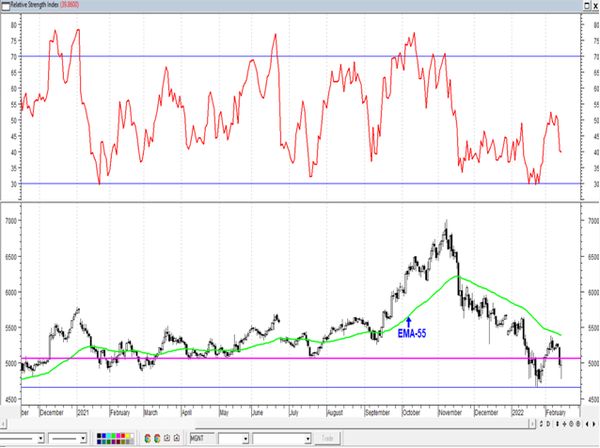 Обзор рынка акций Сбербанка, Газпрома, ГМК НорНикель и Магнита  за 15 Февраля 2022 года