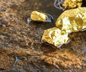 Курс золота на Лондонской бирже вырос ожидая решения ФРС по ставке Курс золота на Лондонской бирже вырос ожидая решения ФРС по ставке