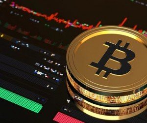 Курс биткоина установил новый годовой рекорд превысив $30000 за монету