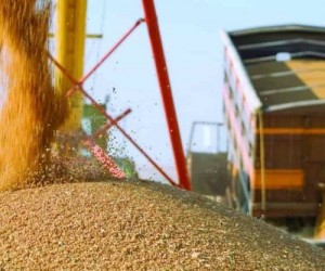 «Зерновой коридор» без участия РФ: миф или реальность