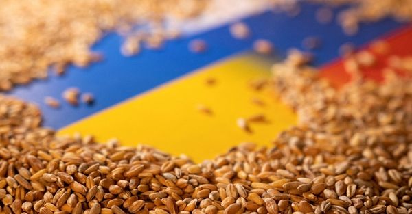 Названы причины и последствия запрета на импорт украинского зерна в 5 стран ЕС
