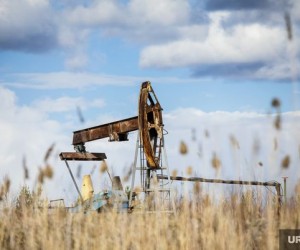 Курс нефти стремительно вырос на фоне оптимистичных прогнозов ОПЕК