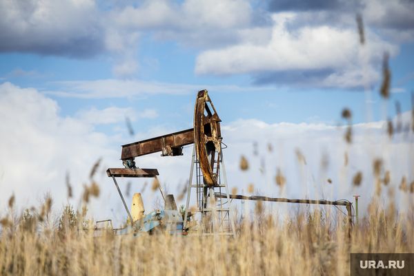 Курс нефти стремительно вырос на фоне оптимистичных прогнозов ОПЕК Курс нефти стремительно вырос на фоне оптимистичных прогнозов ОПЕК