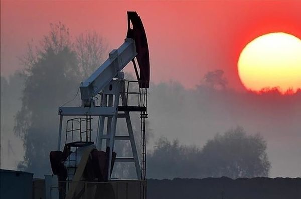 Курс нефти внезапно обвалился более чем на 4%