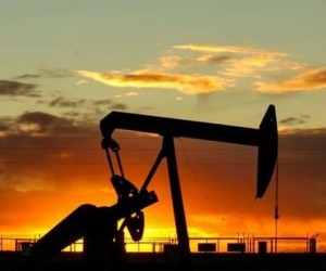 Курс нефти приостановил рост Курс нефти приостановил рост